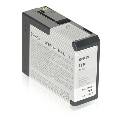 Epson Singlepack Light Light Black T580900