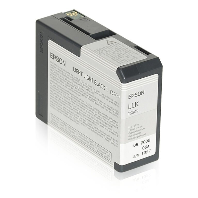 Epson Singlepack Light Light Black T580900
