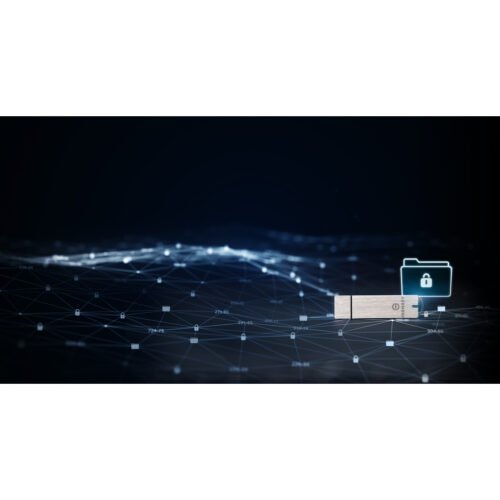 Kingston Technology IronKey 32GB Basic S1000 Encrypted USB 3.0 FIPS 140-2 Level 3 - Image 8