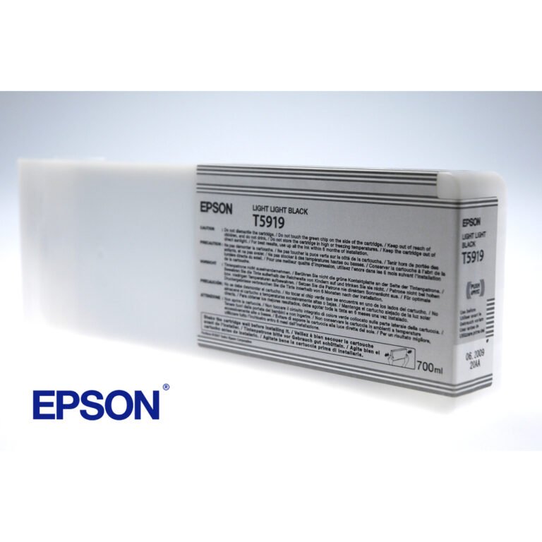 Epson Singlepack Light Light Black T591900