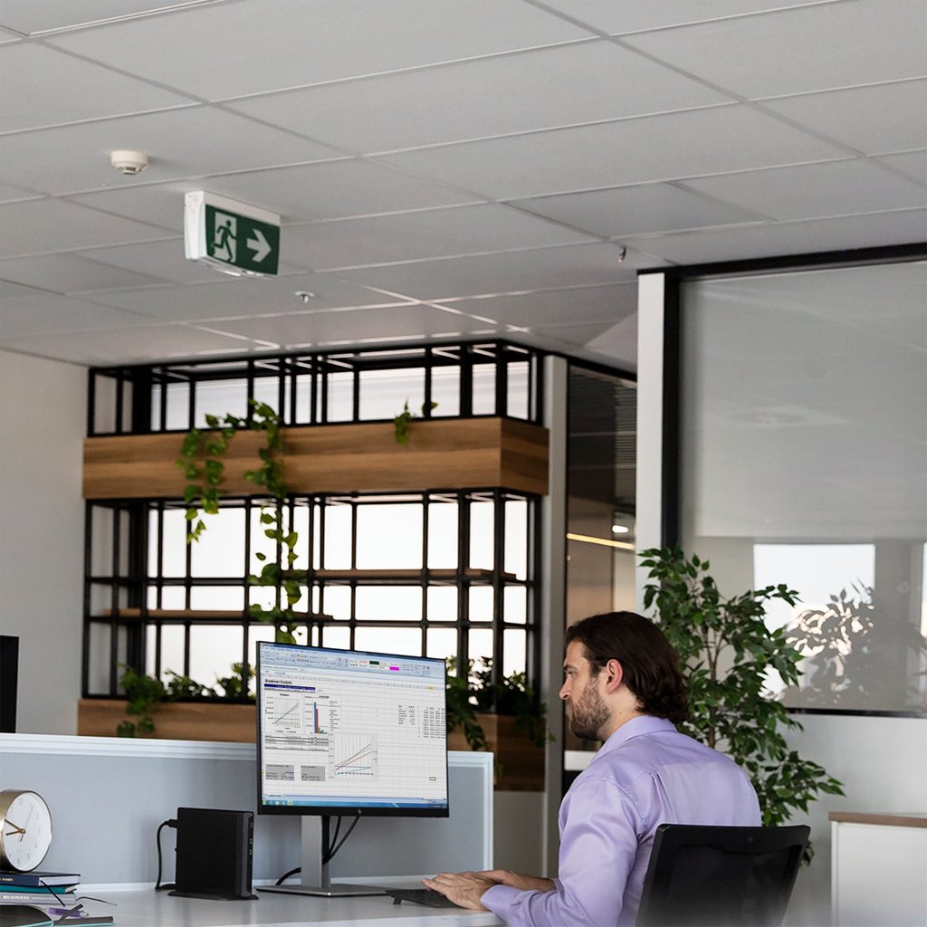 HP ProDesk 405 G8 AMD Ryzen™ 5 5600GE 8 GB DDR4-SDRAM 256 GB SSD Windows 11 Pro Mini PC Black - Image 6