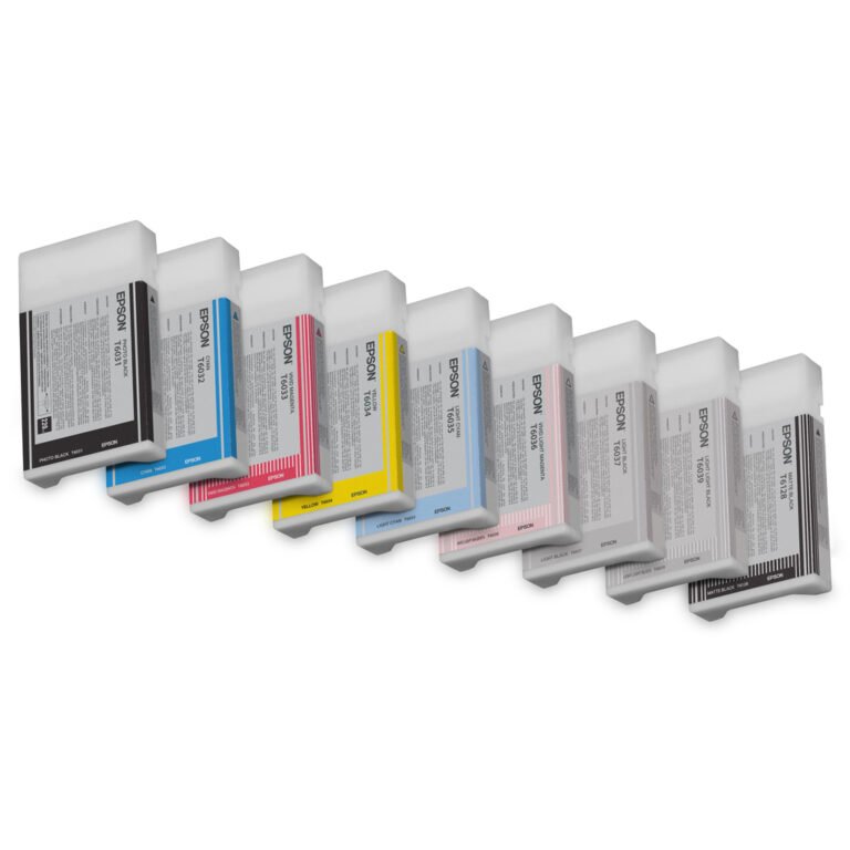 Epson Singlepack Light Black T603700 220 ml