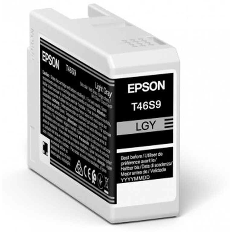 Epson UltraChrome Pro ink cartridge 1 pc(s) Original Light grey