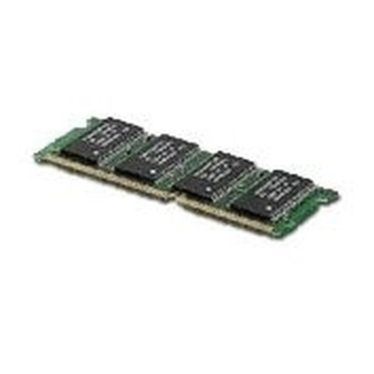 Epson 256MB RAM
