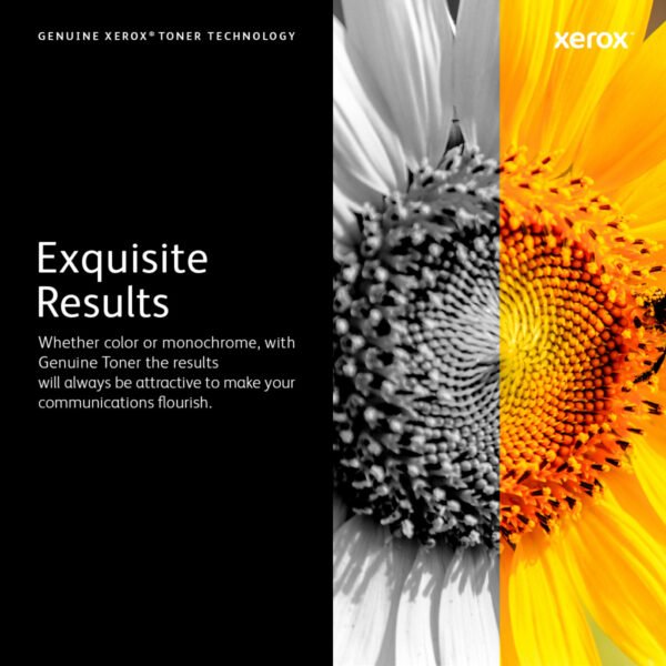 Xerox 008R13326 toner collector - Image 10