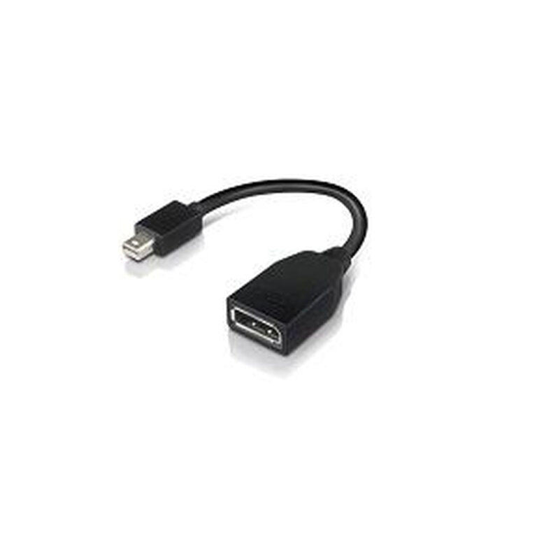 Lenovo 4X90L13971 DisplayPort cable Mini DisplayPort Black