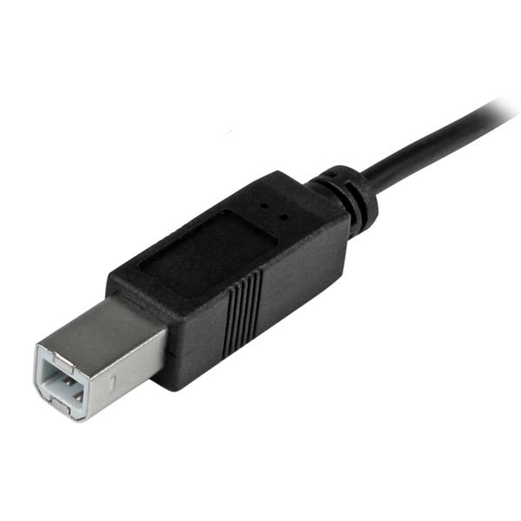 StarTech.com USB-C to USB-B Cable - M/M - 2 m (6 ft.) - USB 2.0 - Image 6