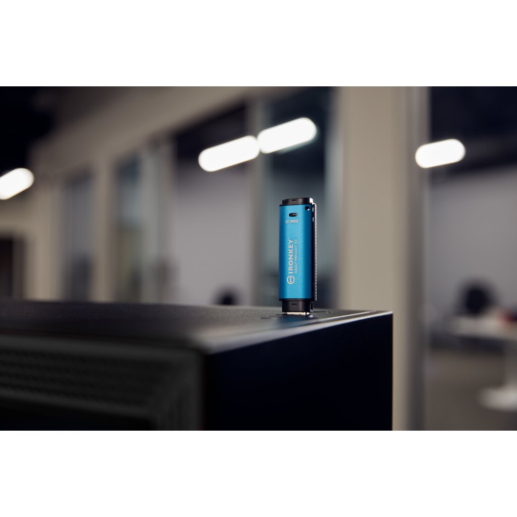 Kingston Technology IronKey 256GB Vault Privacy 50 AES-256 Encrypted, FIPS 197 - Image 12