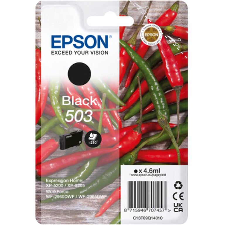 Epson 503 ink cartridge 1 pc(s) Original Standard Yield Black