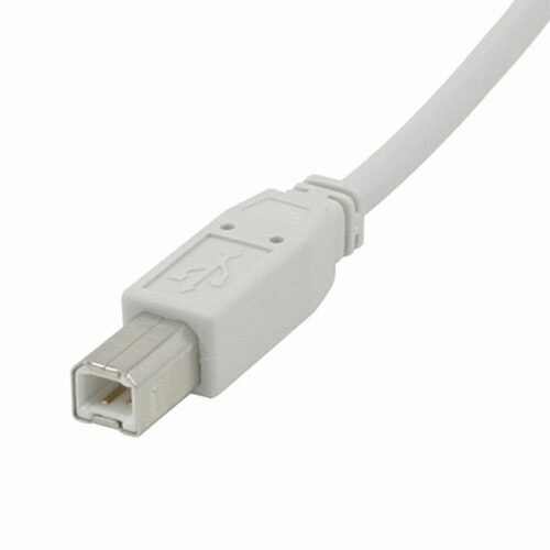 C2G 1m USB 2.0 A/B Cable USB cable USB A USB B White - Image 3