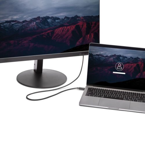 StarTech.com 6.6 ft. (2m) USB-C to DVI Cable - 1920 x 1200 - Black - Image 6
