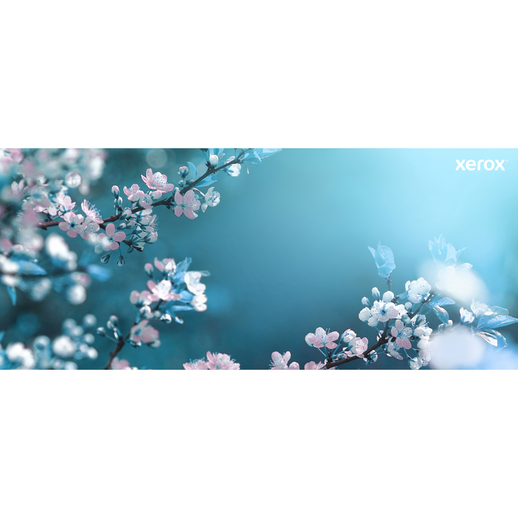 Xerox Genuine ® VersaLink® B600/B610 Printer/B605/B615 Multifunction Printer Black Extra High capacity Toner Ca - Image 10