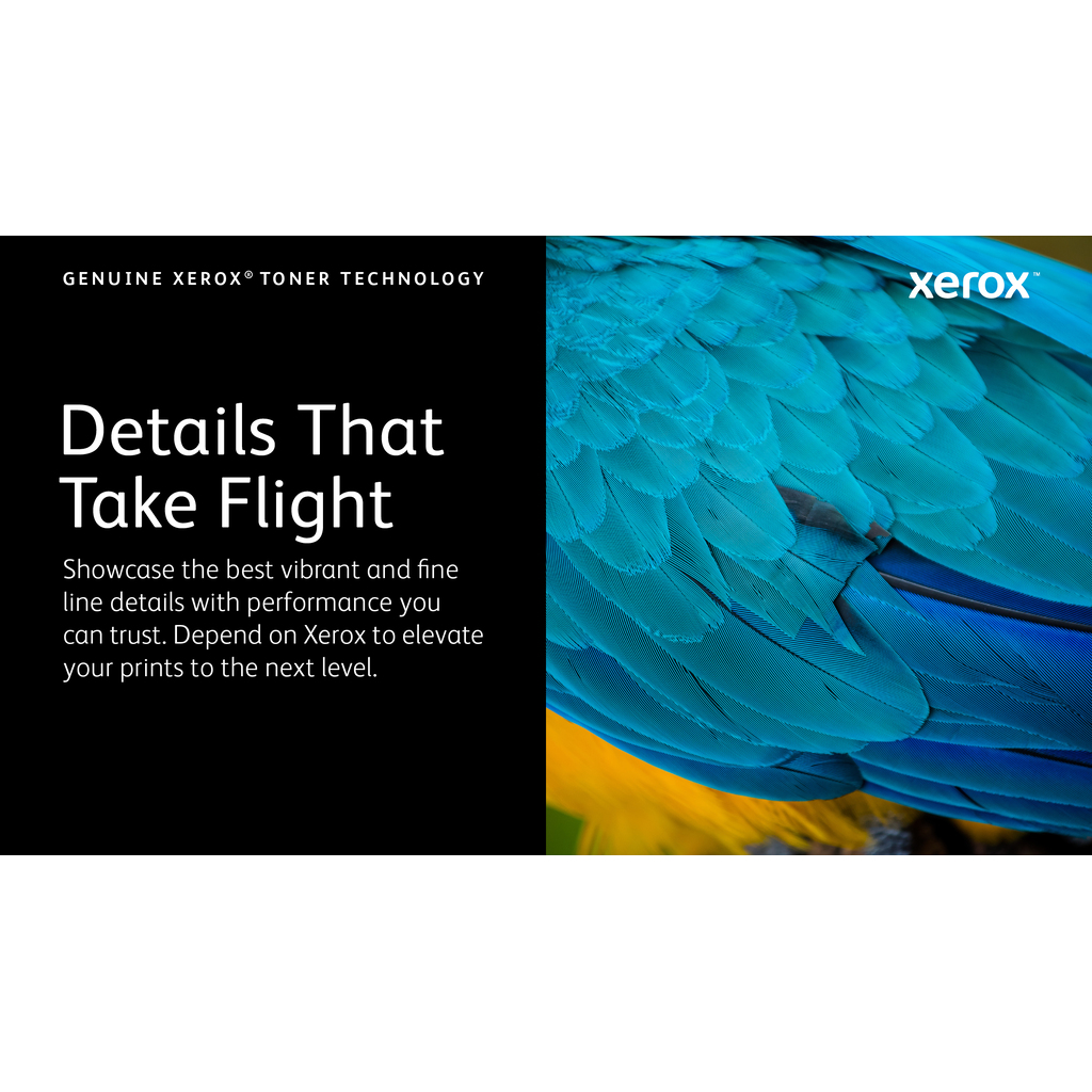 Xerox Genuine ® C230 Color Printer/C235 Color Multifunction Printer Yellow Standard capacity Toner Cartridge (1500 Pages) - Image 3