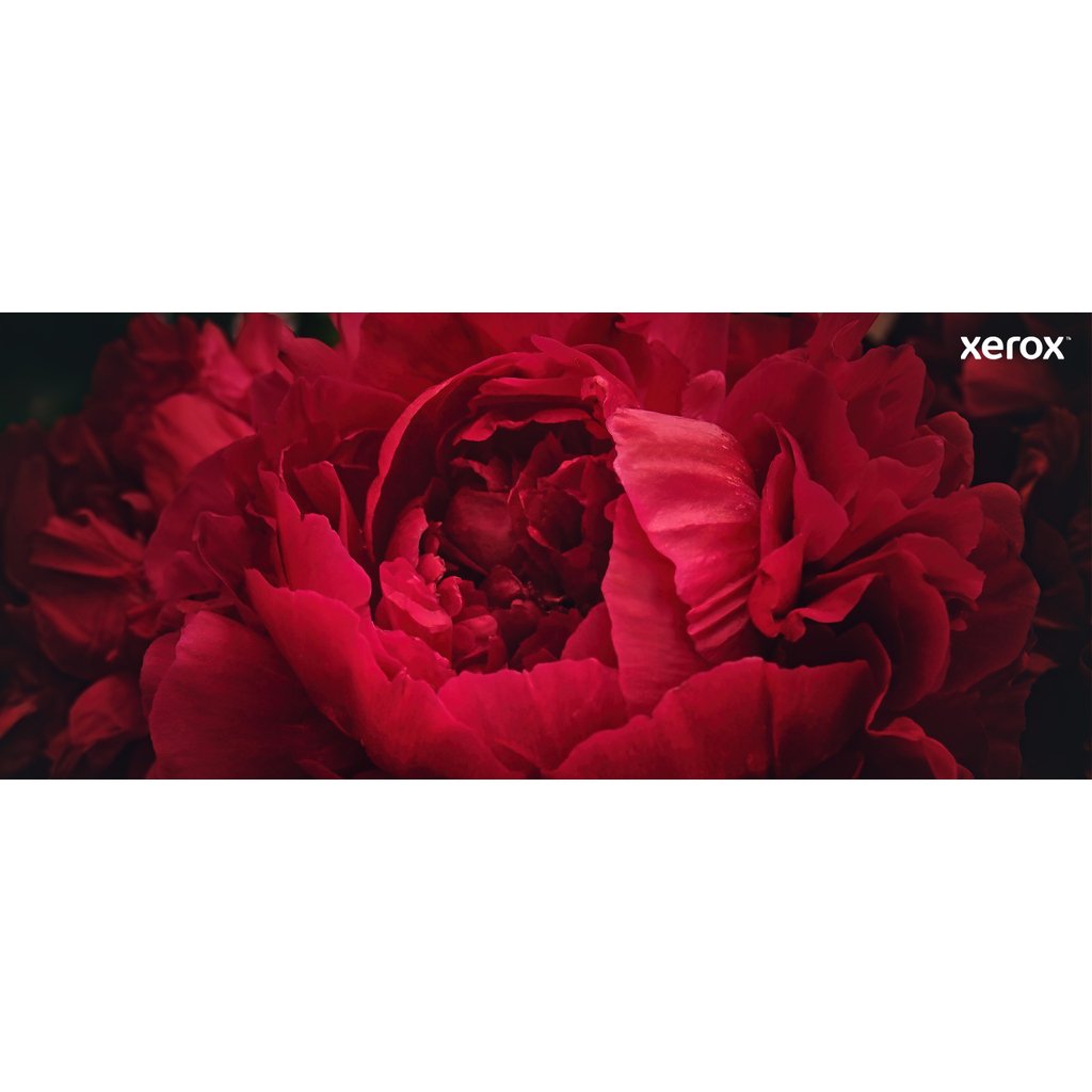 Xerox Genuine ® VersaLink® C625 Color Multifunction Printer Yellow High capacity Toner Cartridge (16000 Pages) - 006R - Image 16