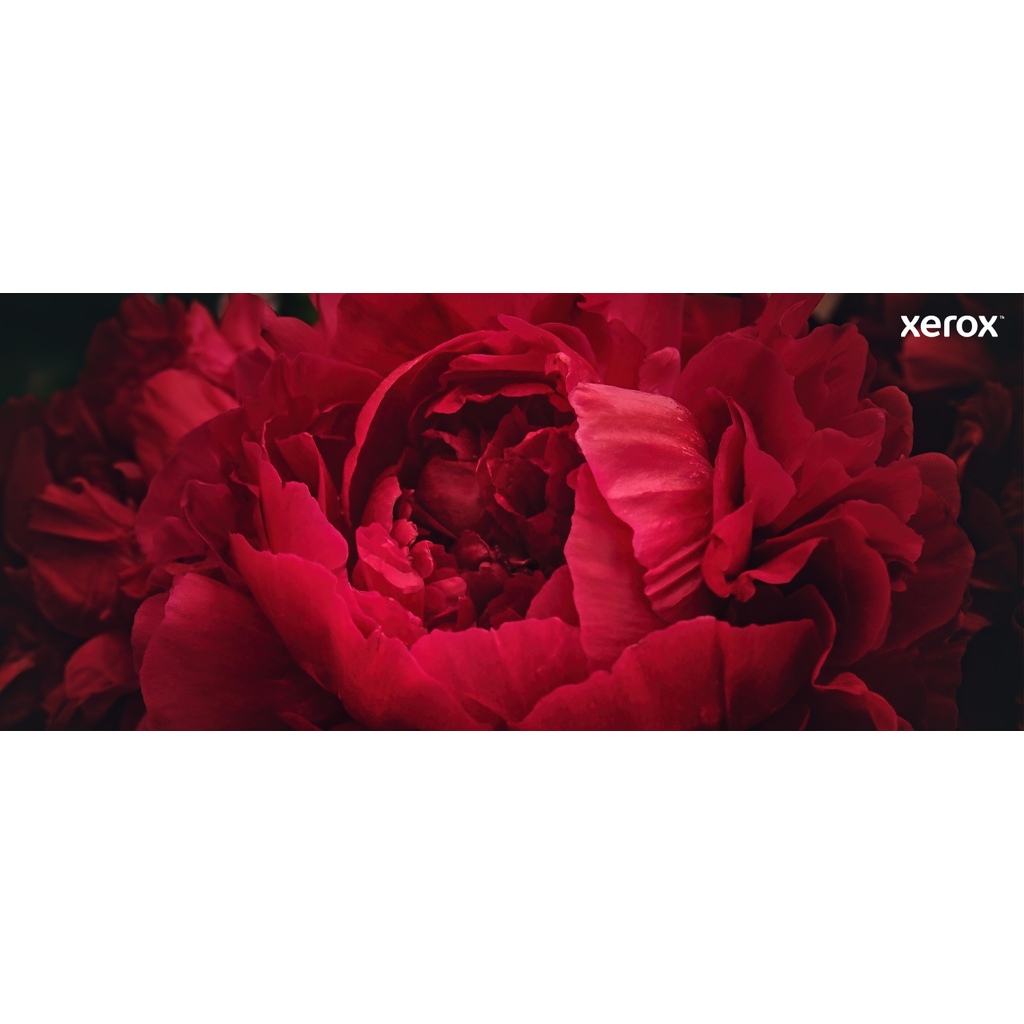 Xerox Genuine ® C230 Color Printer/C235 Color Multifunction Printer Yellow Standard capacity Toner Cartridge (1500 Pages) - Image 14