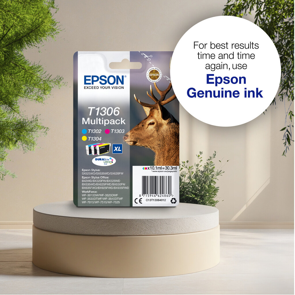 Epson Stag T1301 DURABrite Ultra Single Black Ink - Image 4