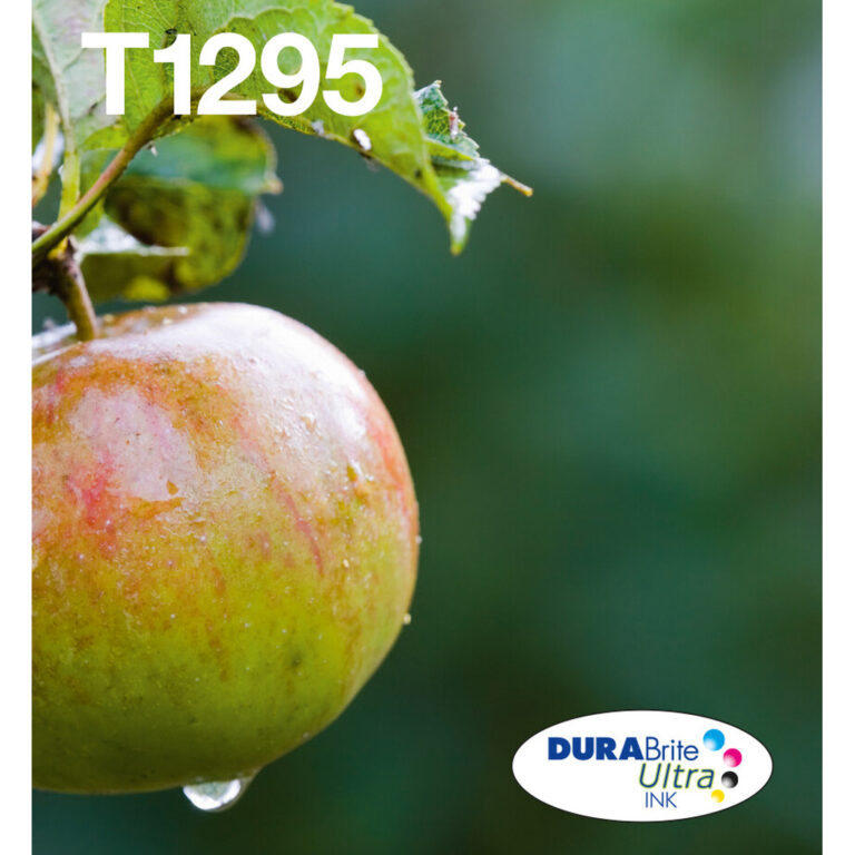 Epson Apple T129 DURABrite Ultra Multipack 4-colours EasyMail Ink