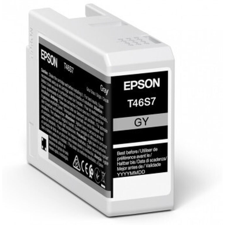 Epson Singlepack Gray T46S7 UltraChrome Pro 10 ink 25ml