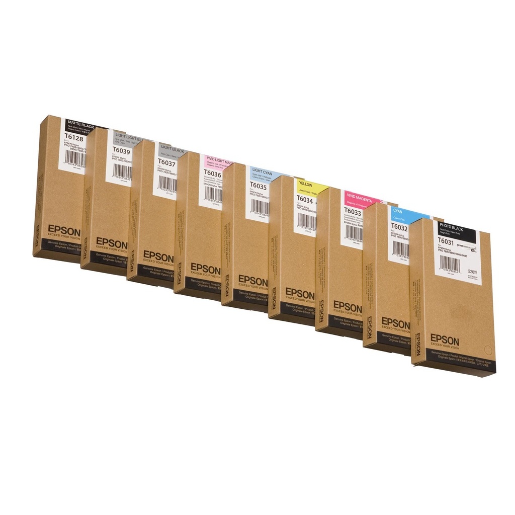 Epson Singlepack Photo Black T603100 220 ml