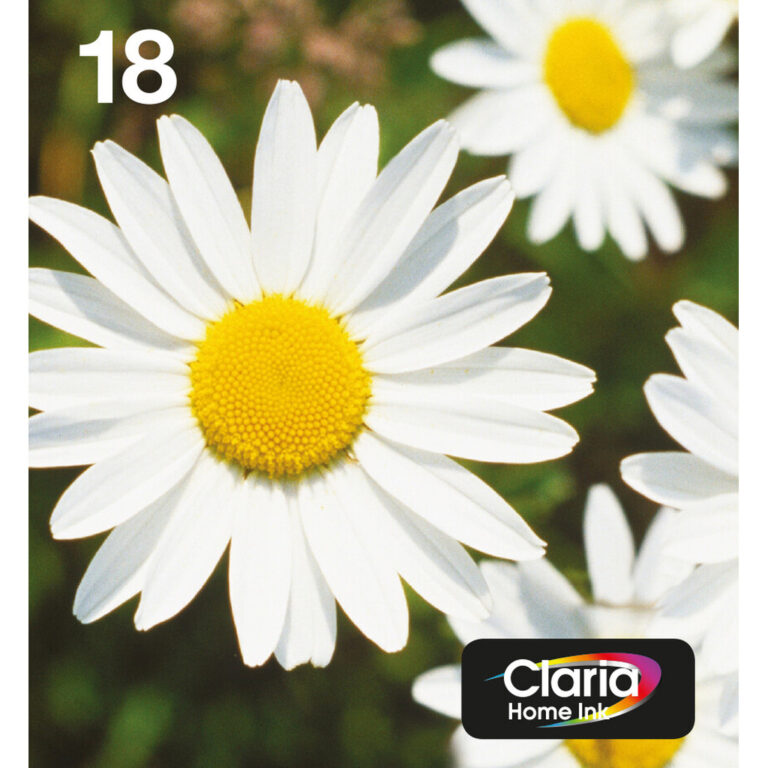 Epson Daisy 18 Claria Home Multipack 4-colours EasyMail Ink