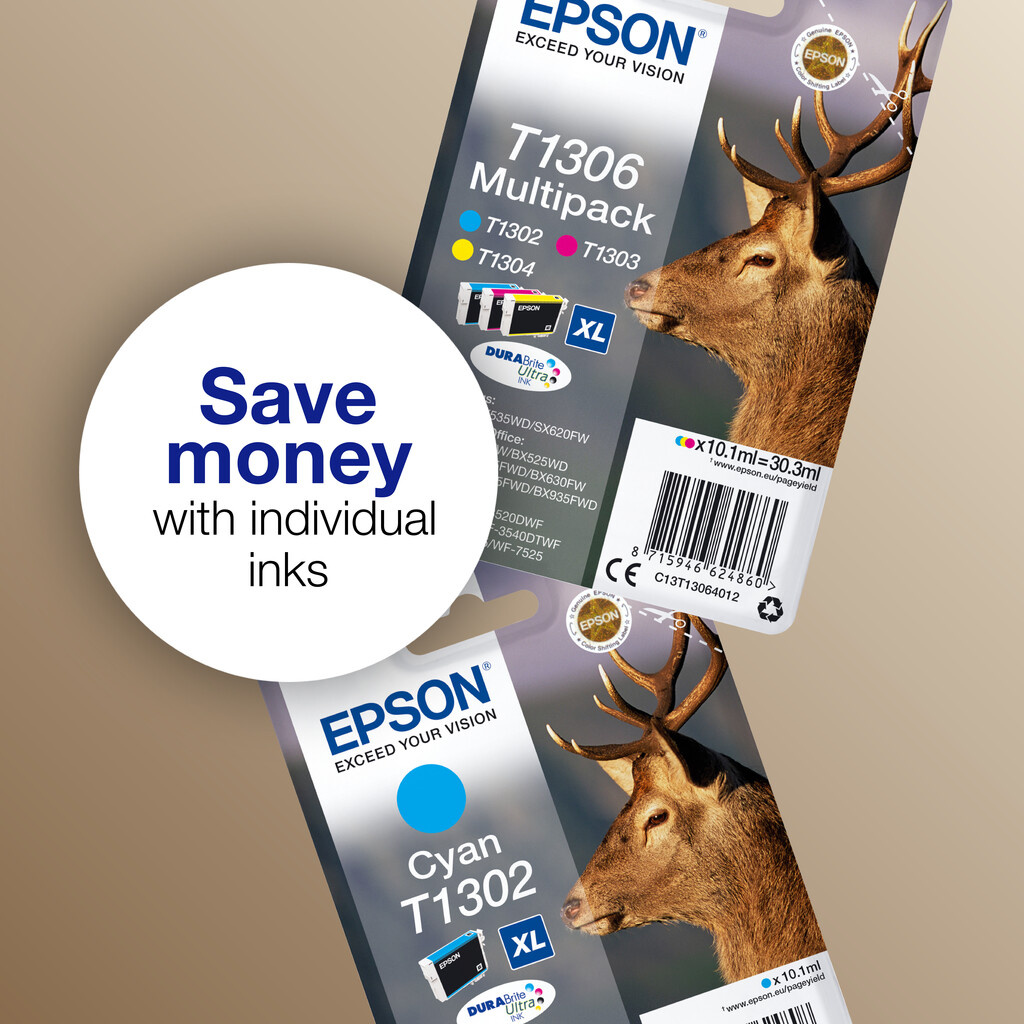 Epson Stag T1306 DURABrite Ultra Multipack 3-colours EasyMail Ink - Image 9