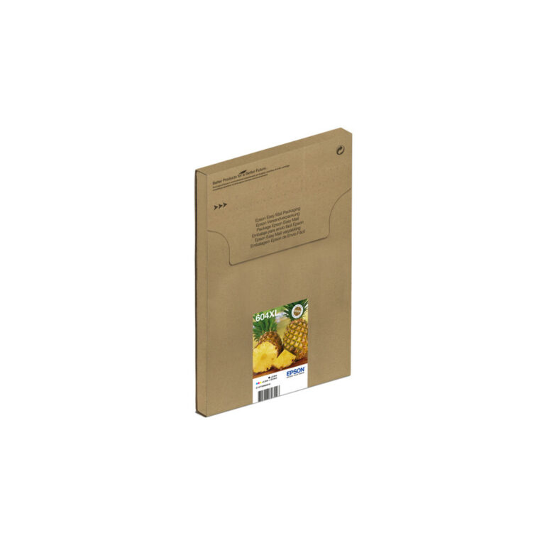 Epson Multipack 4-colours 604XL EasyMail