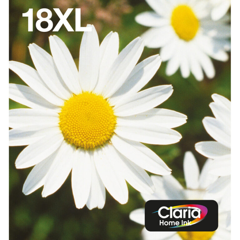 Epson Daisy 18XL Claria Home Multipack 4-colours EasyMail Ink