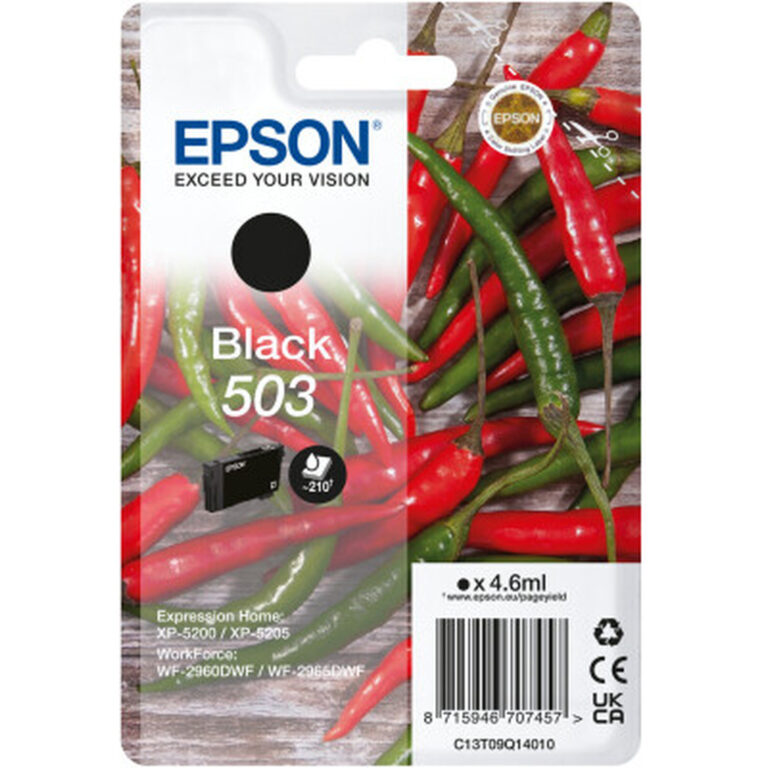 Epson Singlepack Black 503 Ink