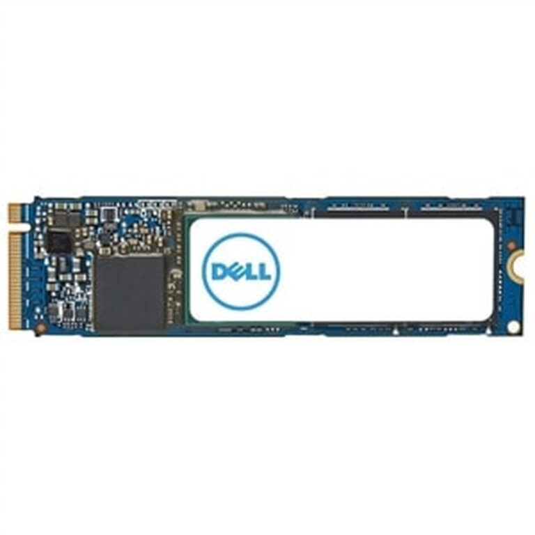 DELL AC037410 2 TB M.2 PCI Express 4.0 NVMe