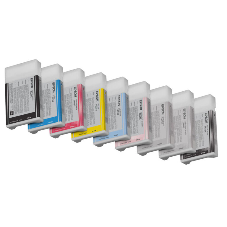 Epson Singlepack Light Black T603700 220 ml