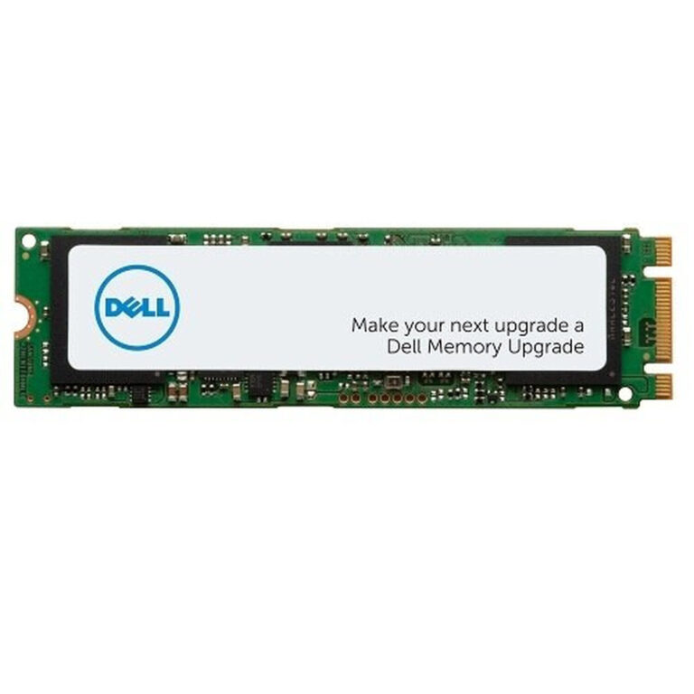 DELL AA615520 1 TB M.2 PCI Express 3.0 NVMe